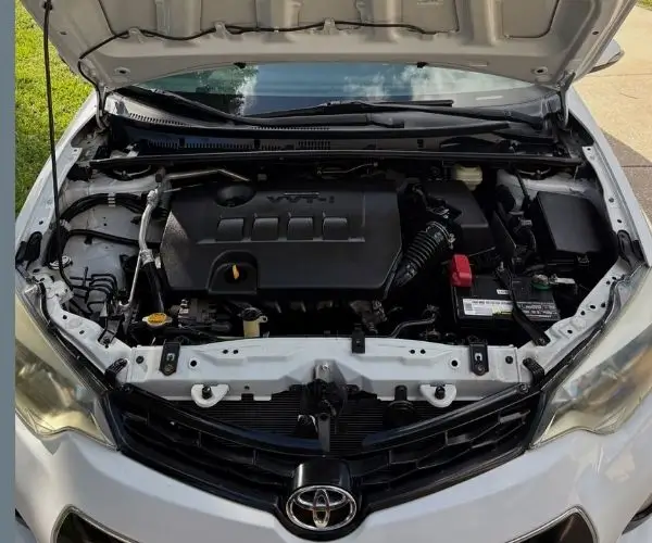 Engine Bay Detailing FL