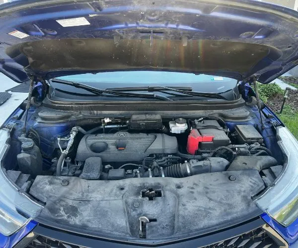 Engine-Bay-Detailing-Florida