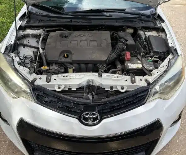 Car Detailing Service FL