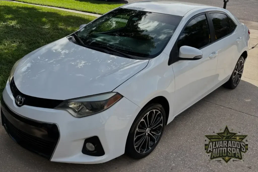 why-professional-ceramic-coating-is-usually-the-better-investment Select 84 more words to run Humanizer.
