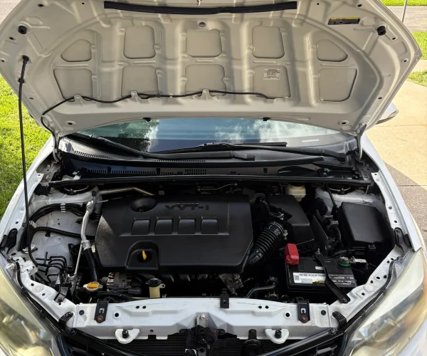 Engine Bay Detailing in Central Florida