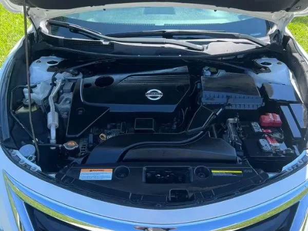 engine bay detailing service florida